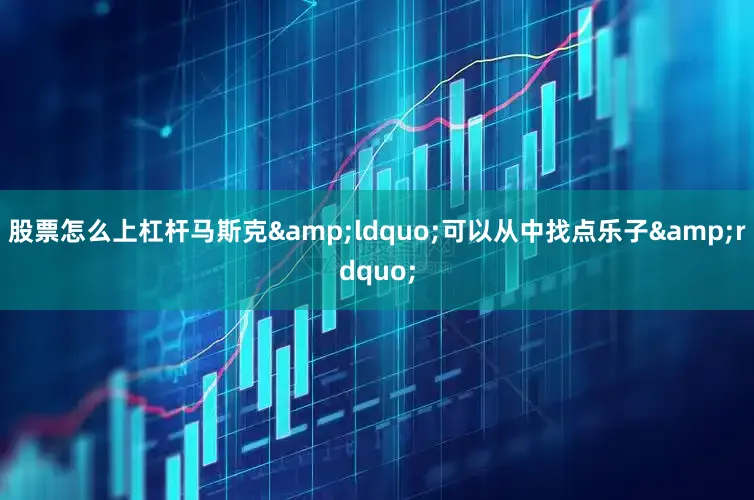 股票怎么上杠杆马斯克&ldquo;可以从中找点乐子&rdquo;