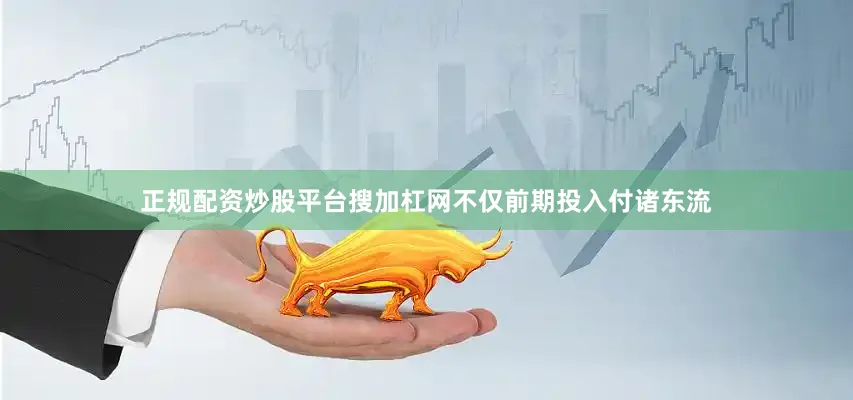 正规配资炒股平台搜加杠网不仅前期投入付诸东流