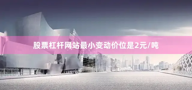 股票杠杆网站最小变动价位是2元/吨